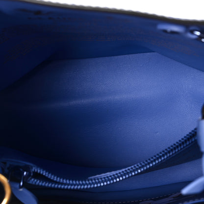Louis Vuitton Masters Monet Neonoe 5 of 11