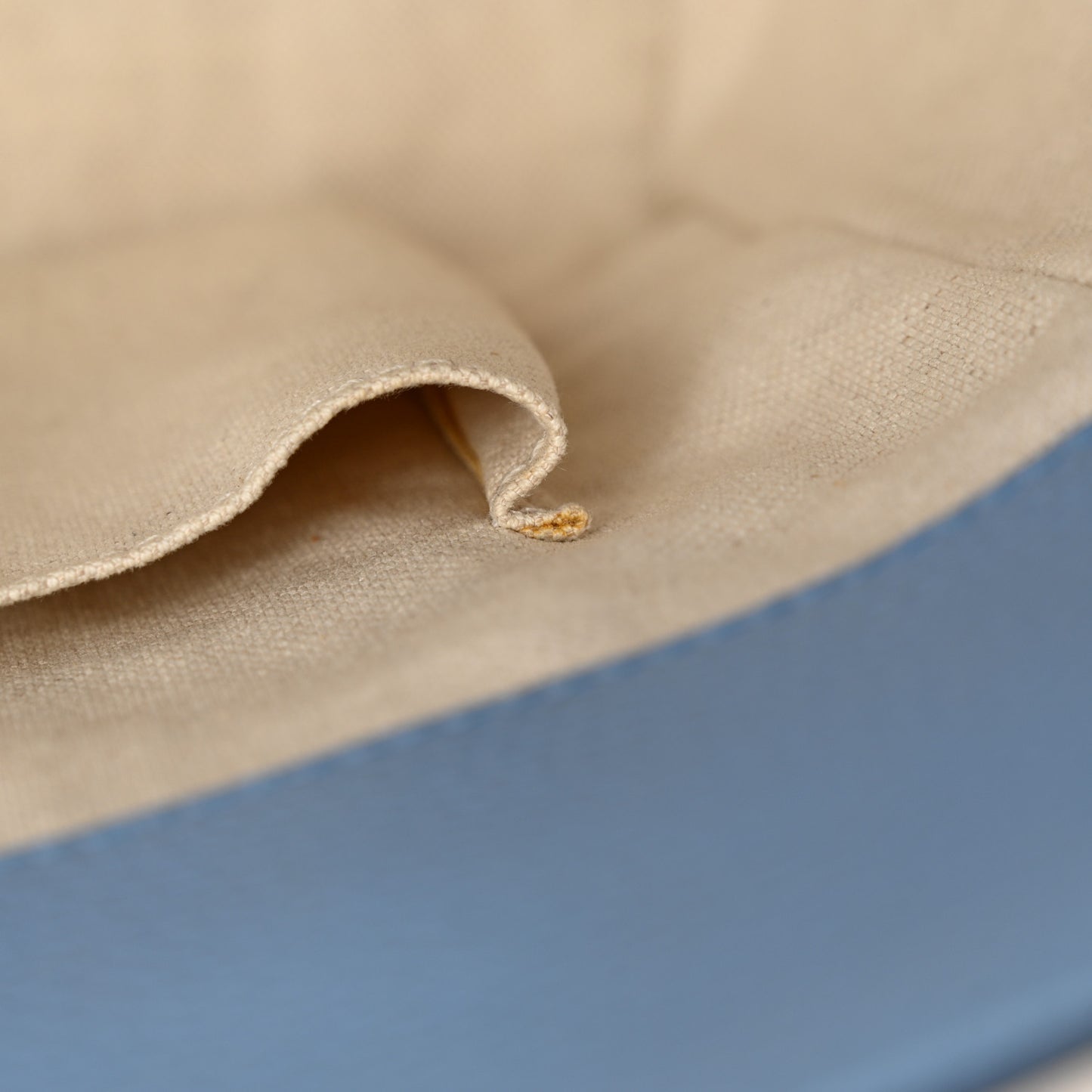 Dollar Calfskin Small Swing Tote Camelia Mineral Blue