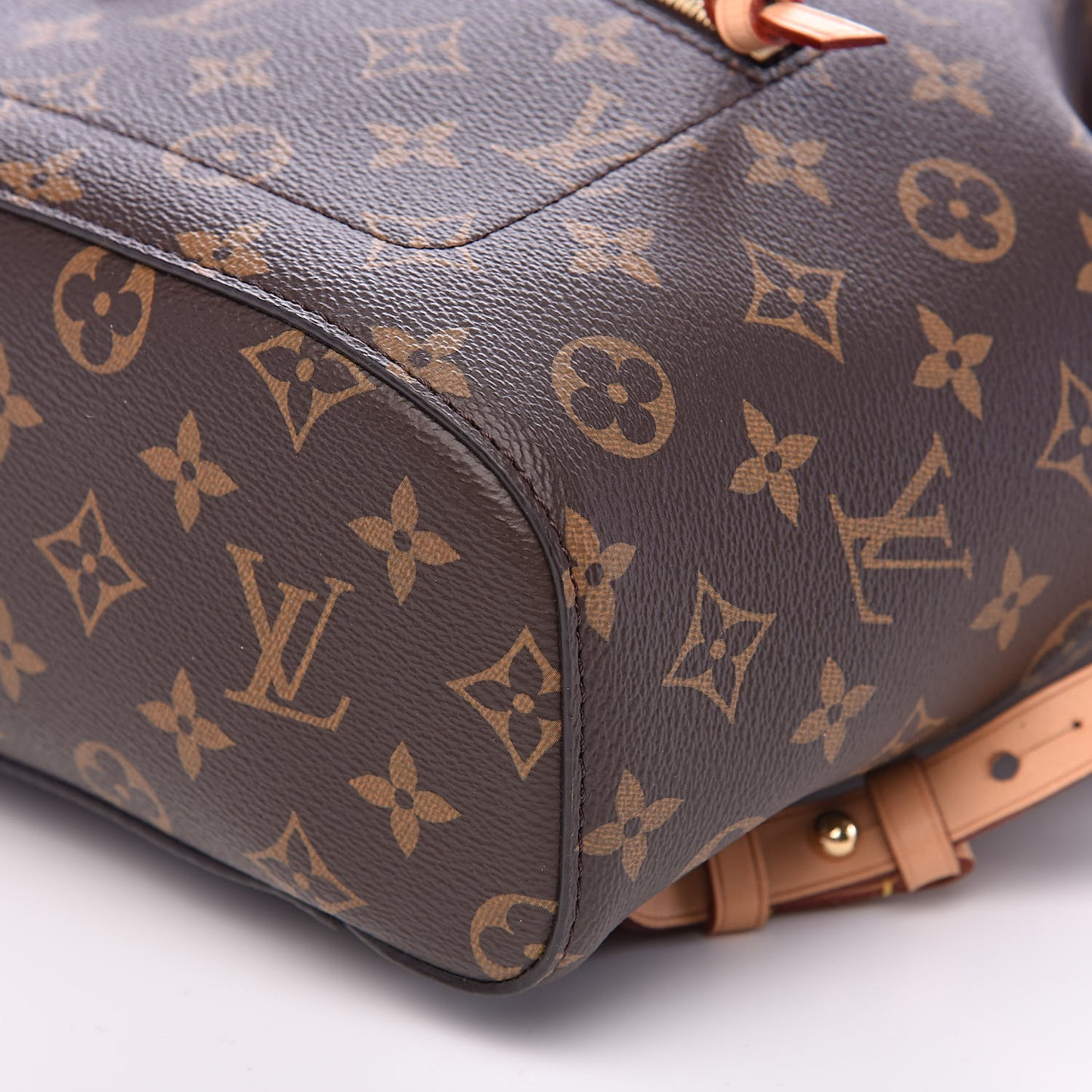 Monogram Montsouris NM Backpack