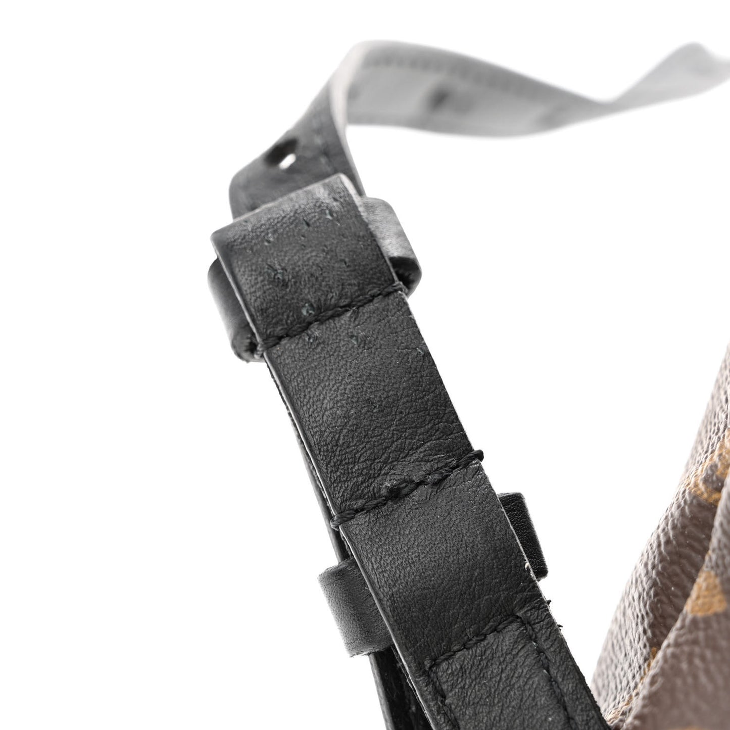 Monogram Palm Springs Backpack PM