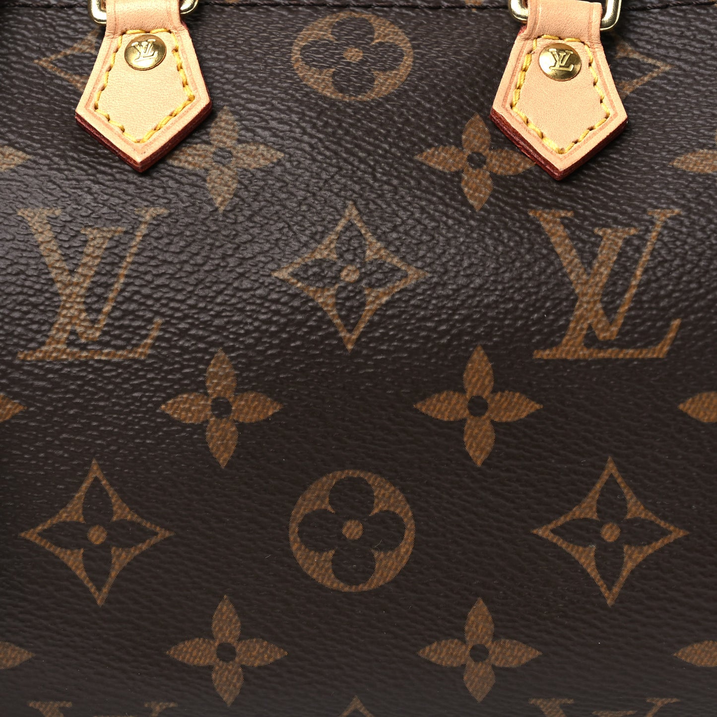 Monogram Nano Speedy