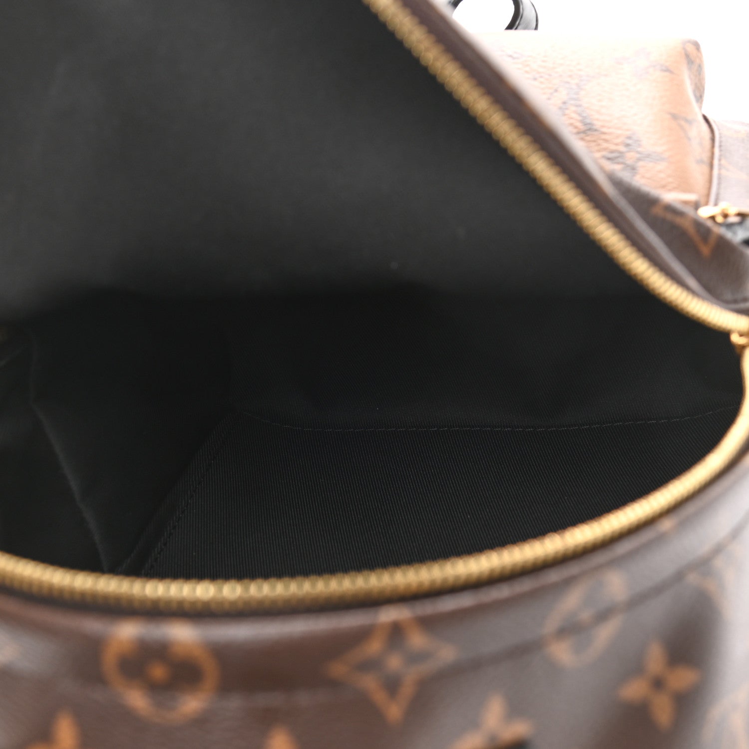 Louis Vuitton Reverse Monogram Palm Springs Backpack PM 5 of 11