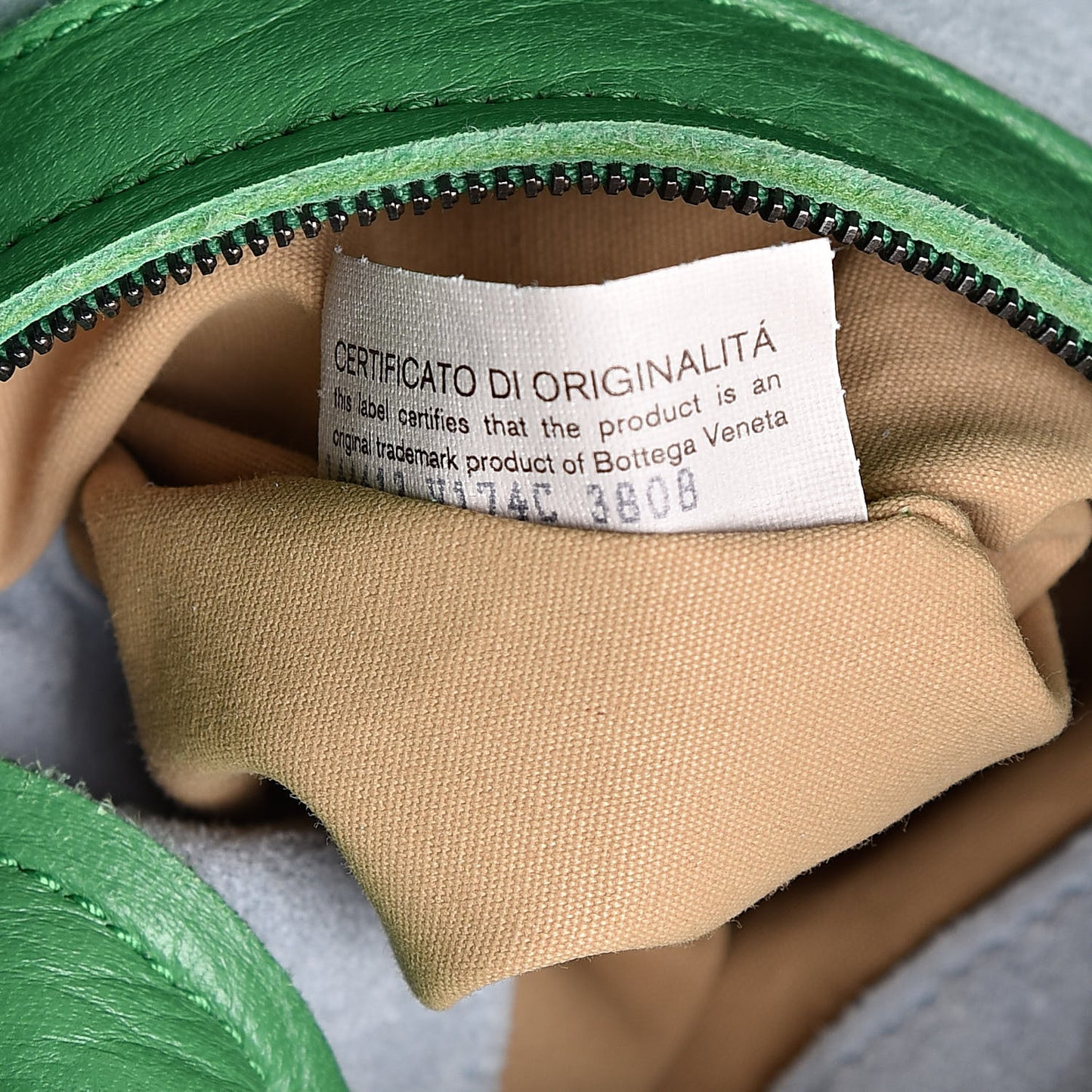Cervo Cocker Hobo Foglia