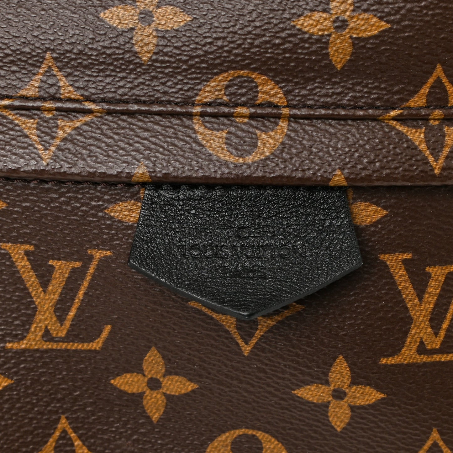 Monogram Palm Springs Backpack MM