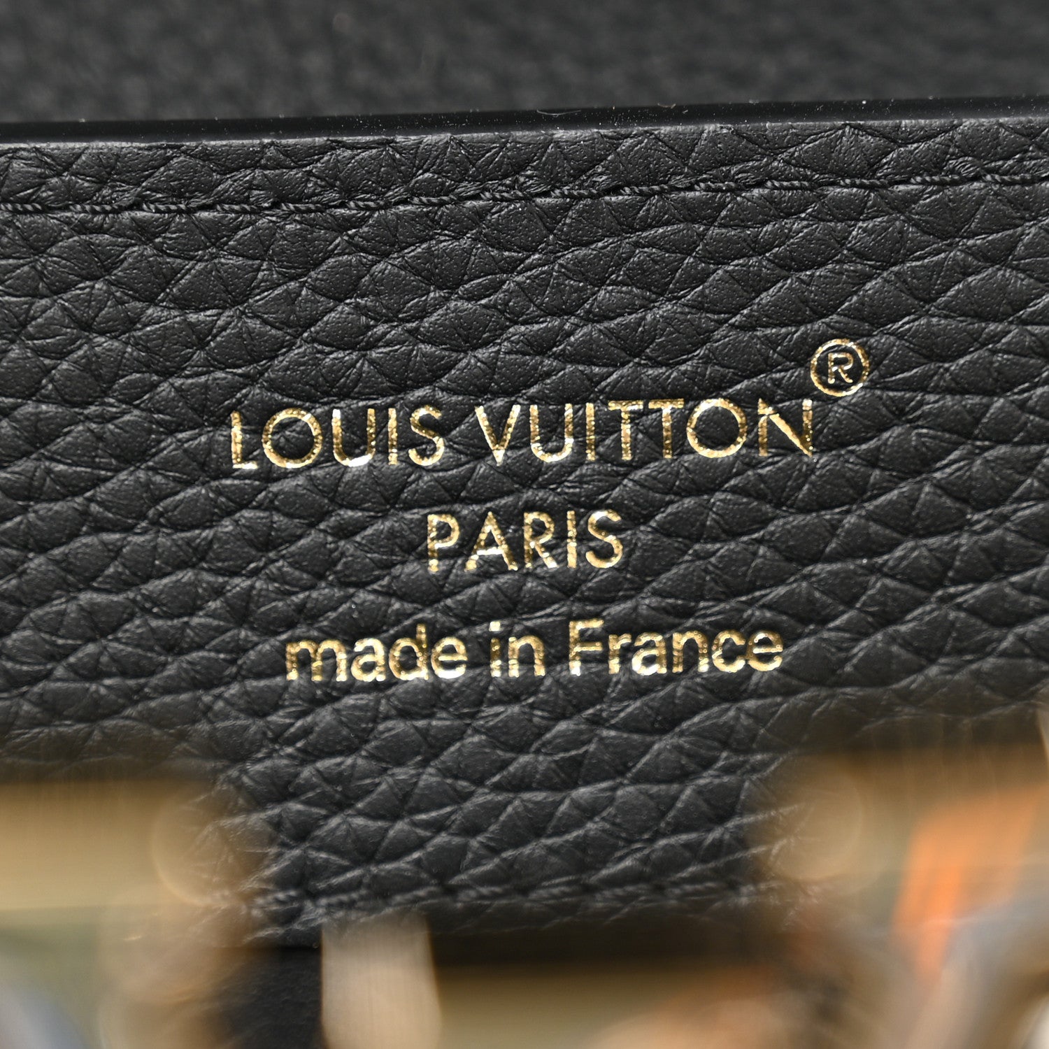 Louis Vuitton Taurillon Embellished Malletage Crown Capucines MM  Black 7 of 12
