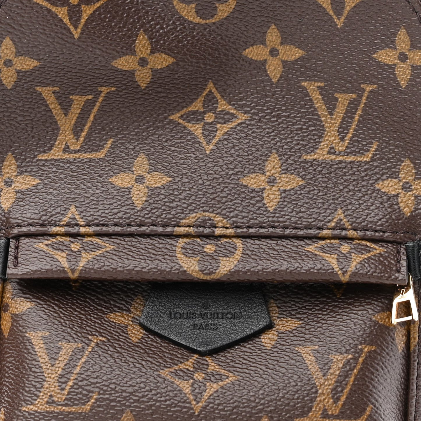 Monogram Palm Springs Backpack Mini