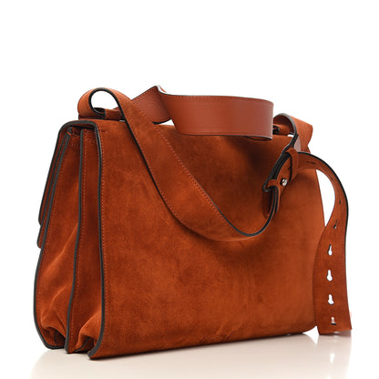 Gucci Suede Medium Dionysus Messenger Bag Deep Paprika 2 of 9