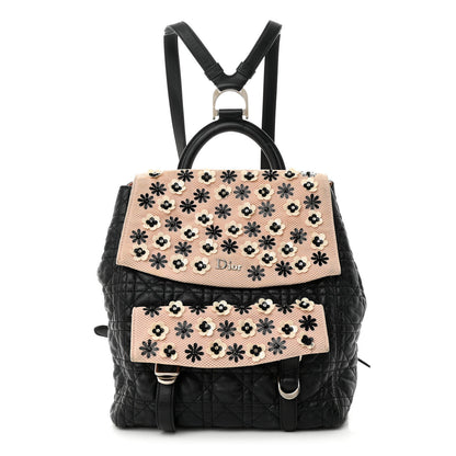 Christian Dior Lambskin Mesh Cannage Embroidered Large Stardust Backpack Black Pink 1 of 12