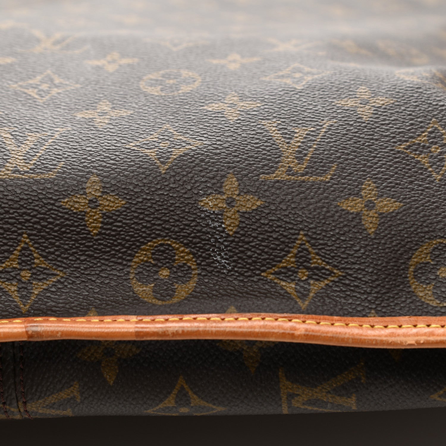 Louis Vuitton Monogram Garment Bag 12 of 21