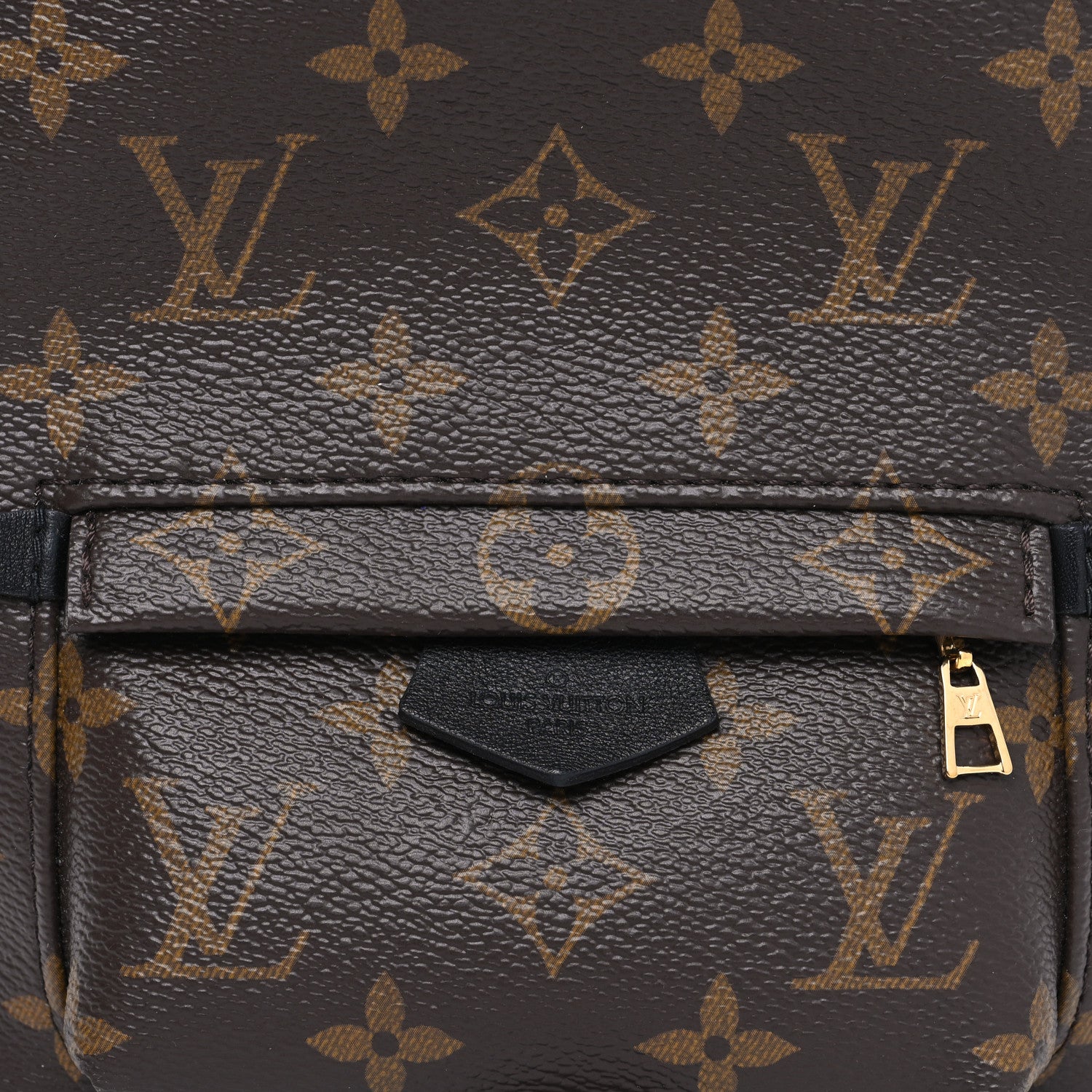 Louis Vuitton Monogram Palm Springs Backpack Mini 8 of 10