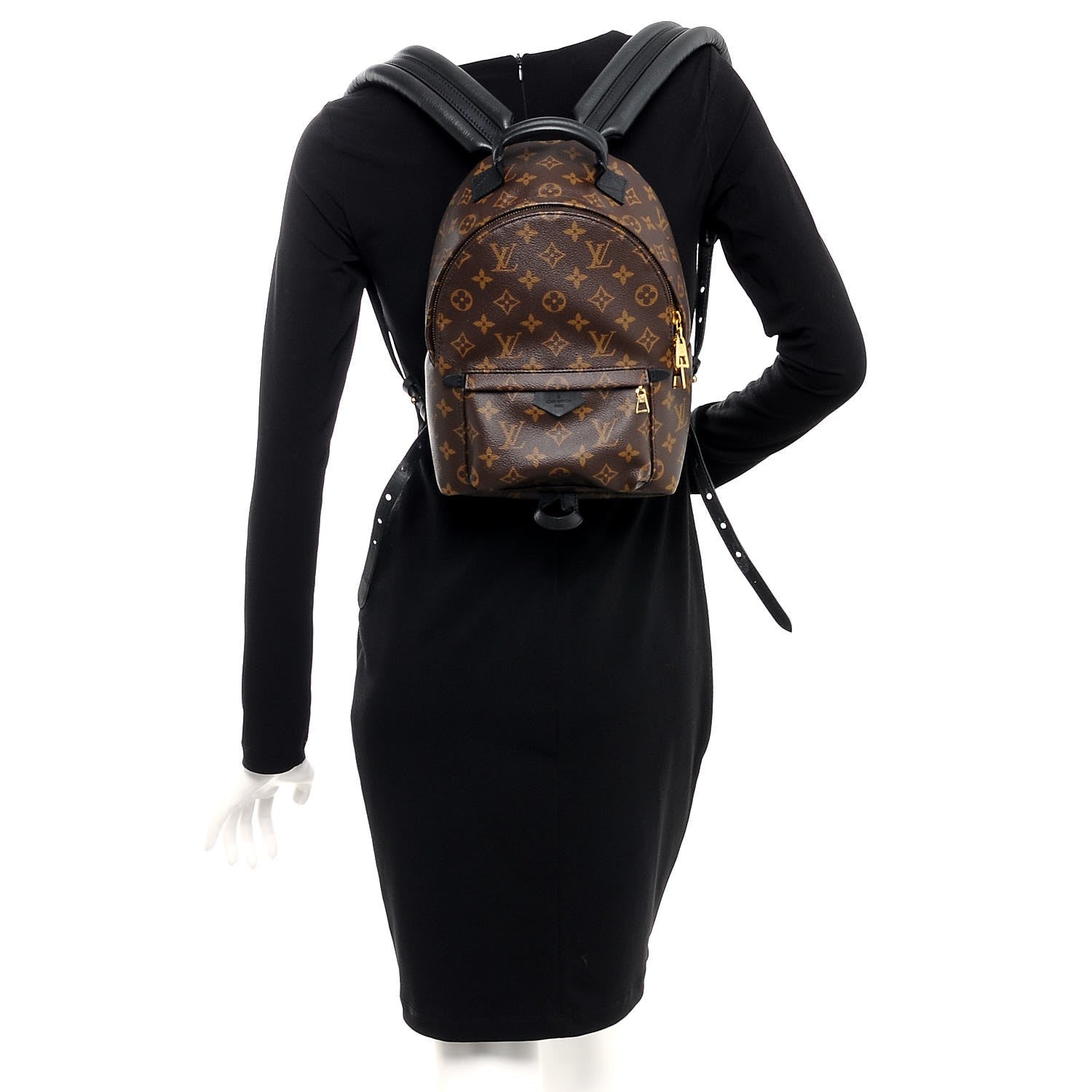 Louis Vuitton Monogram Palm Springs Backpack PM 2 of 9