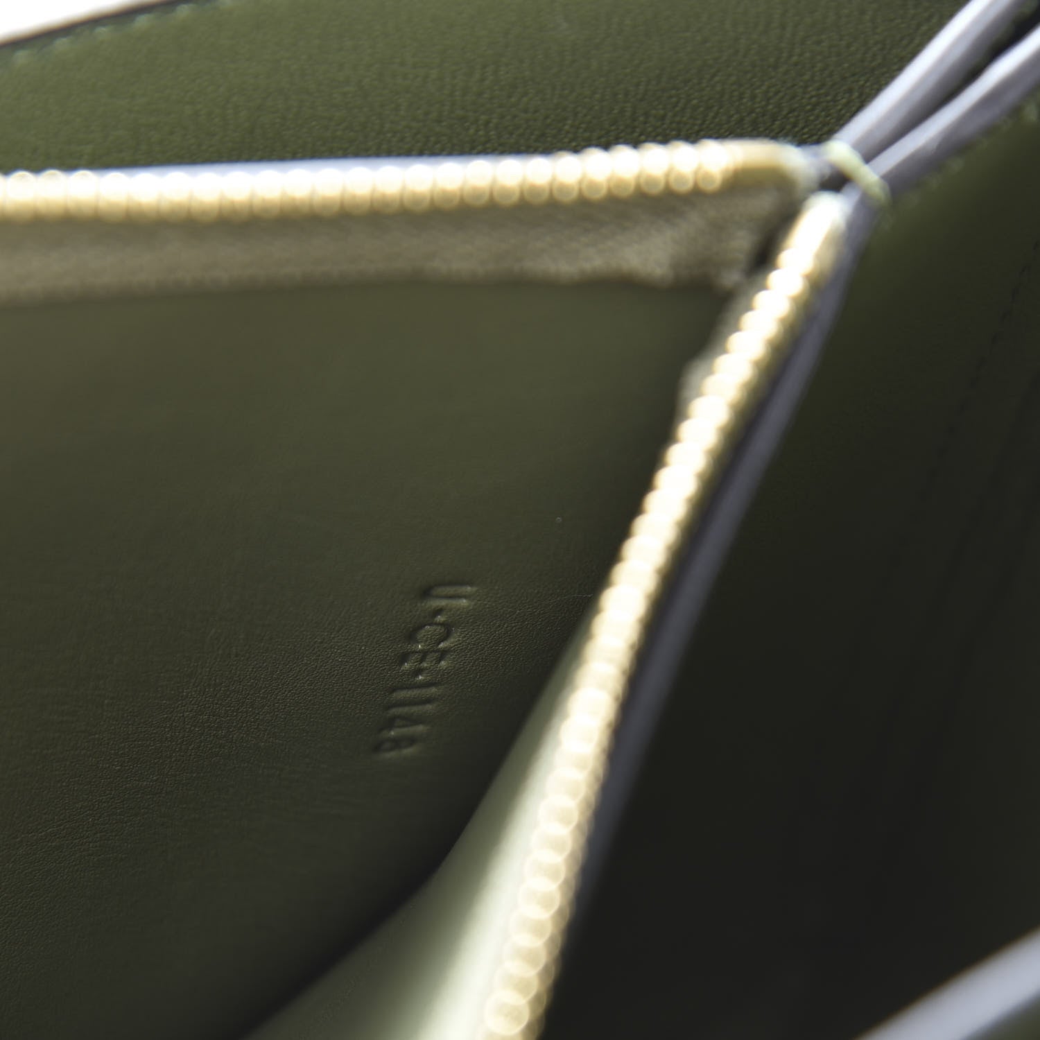 Celine Shiny Smooth Calfskin Medium Frame Shoulder Bag Olive Pastel Green 8 of 16