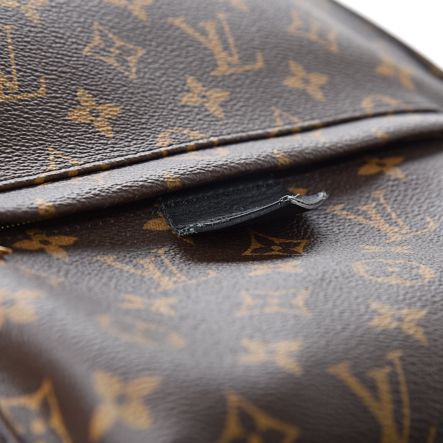 Monogram Palm Springs Backpack MM