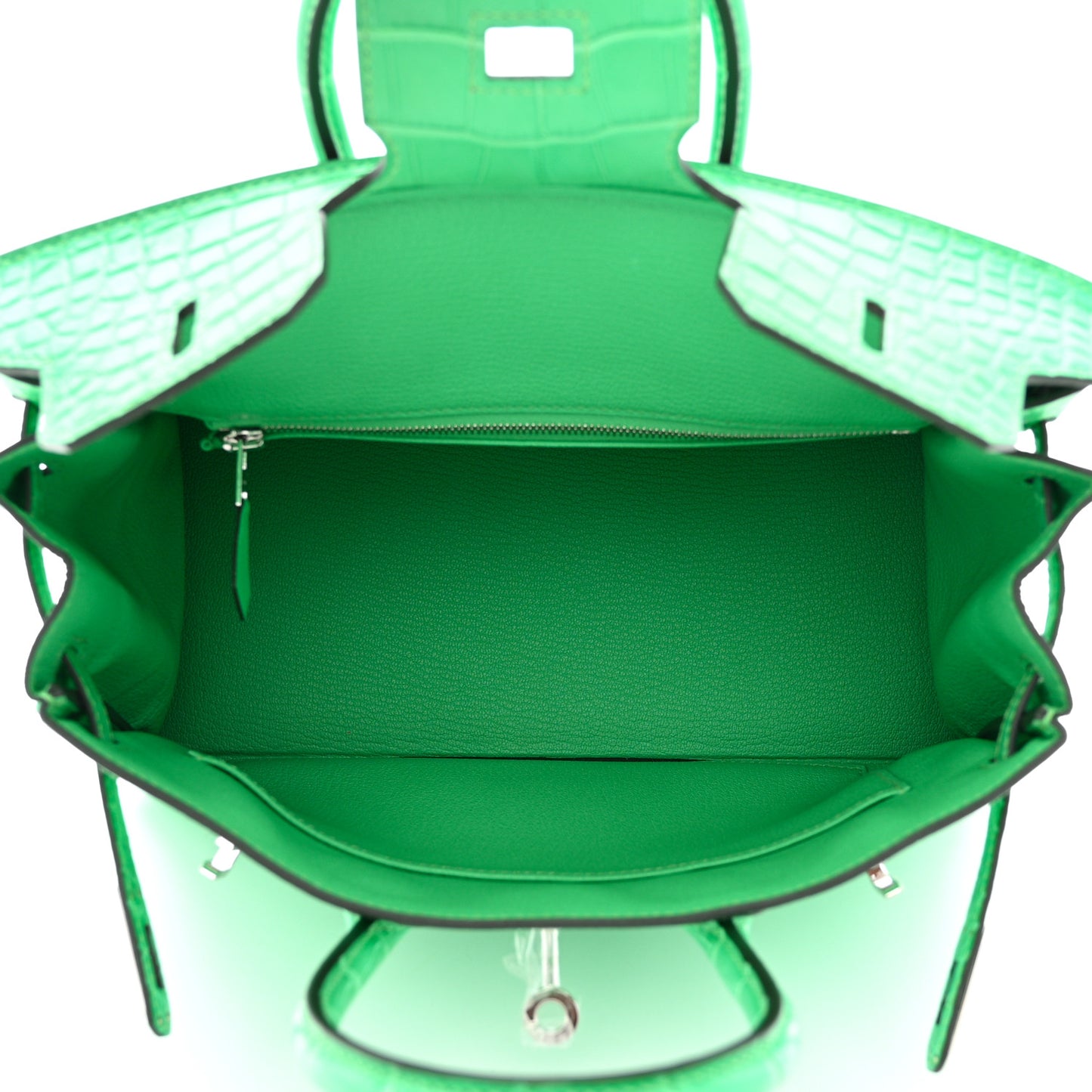 Togo Matte Alligator Birkin Touch 25 Vert Comics