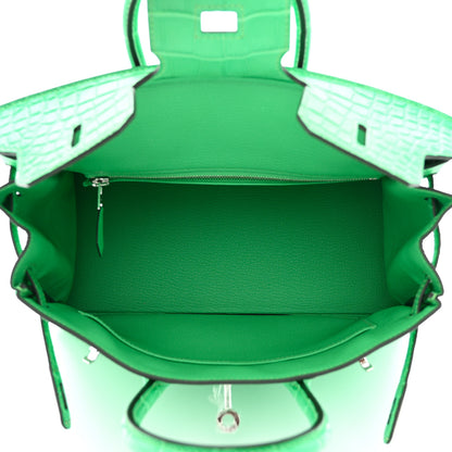 Hermes Togo Matte Alligator Birkin Touch 25 Vert Comics 5 of 11