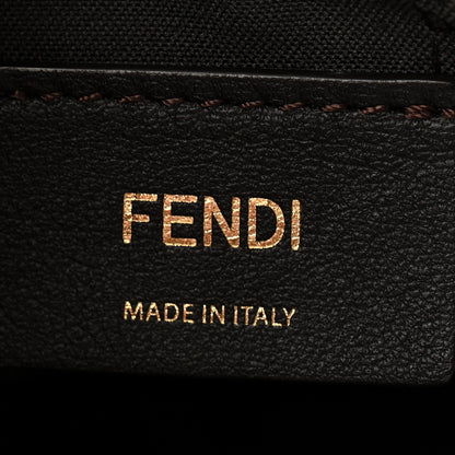 Fendi Vitello Grace Matte Small Fendigraphy Hobo Bag Ciclamino Pilar 6 of 12