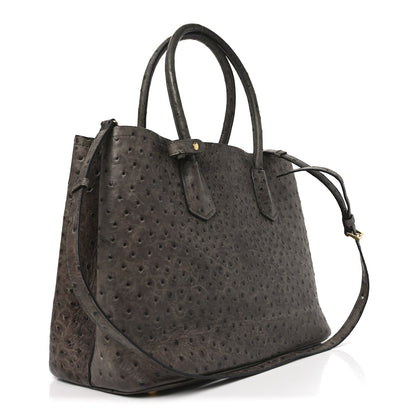 Prada Ostrich Double Bag Grey 3 of 9