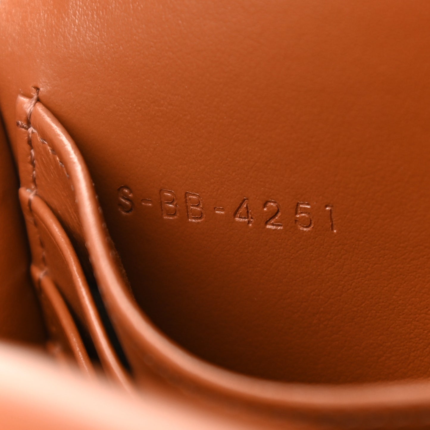 Triomphe Canvas Lambskin Wallet On Strap Tan