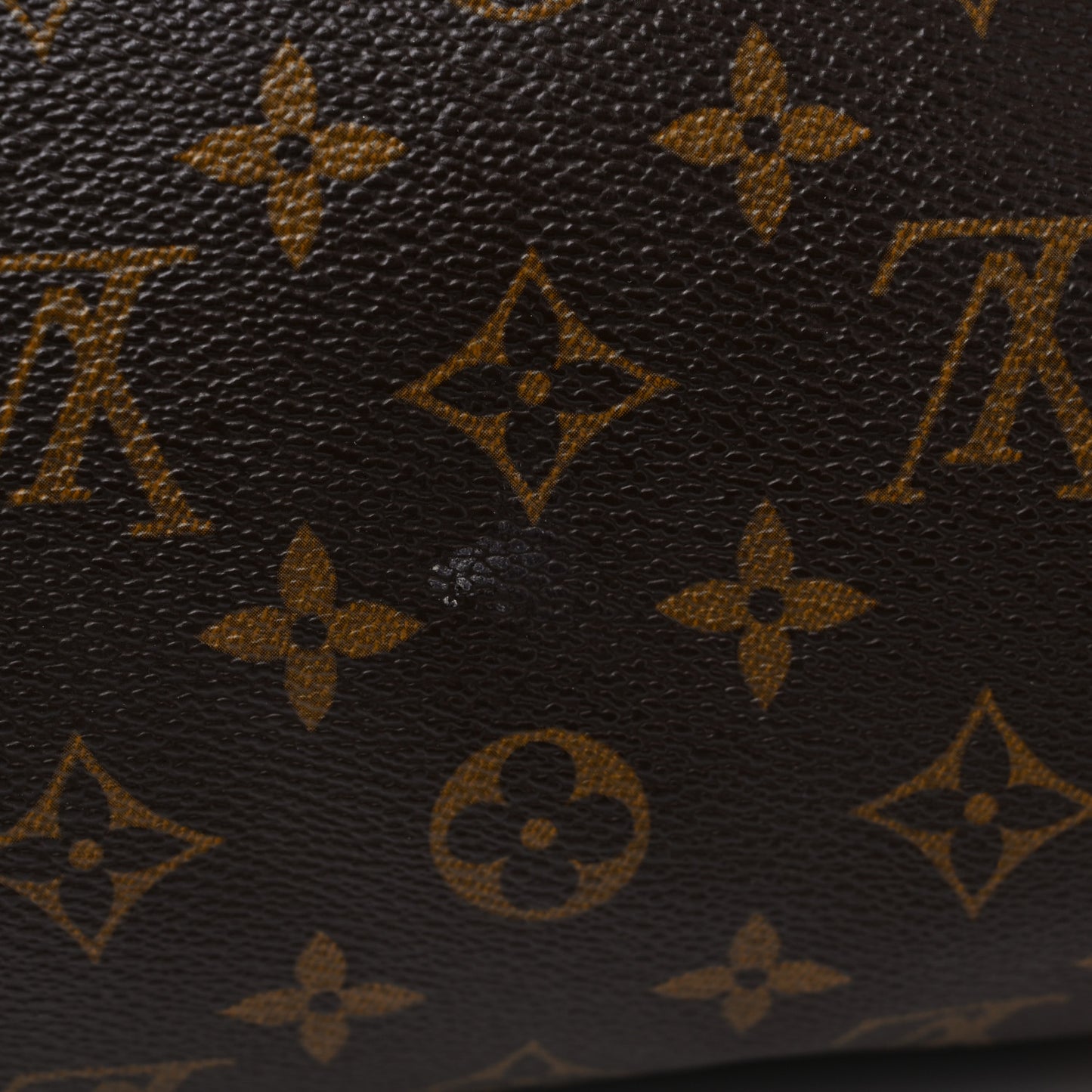 Monogram Papillon 30 with Companion