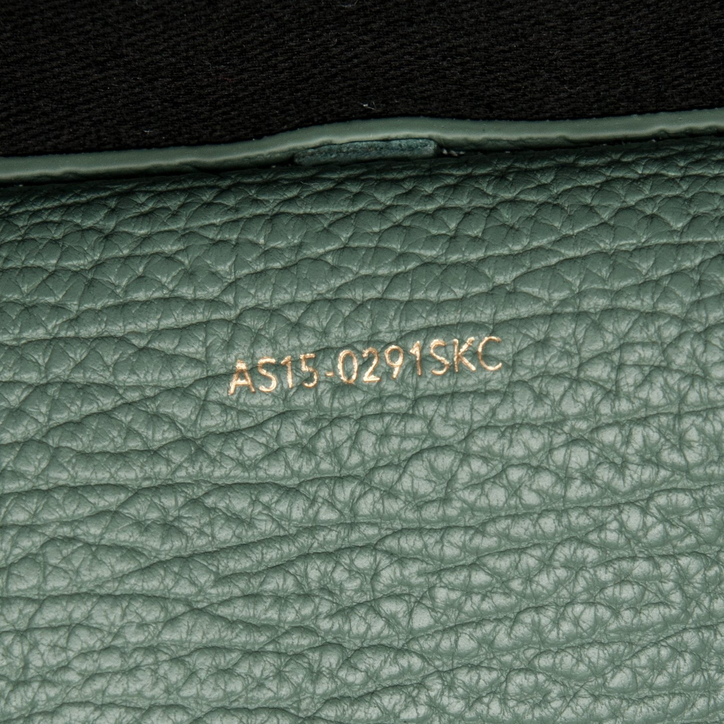 3.1 Textured Calfskin Pashli Backpack Agave