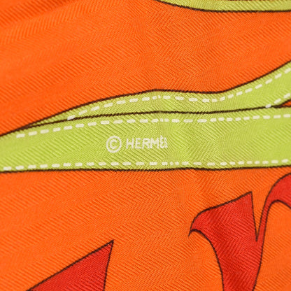 Hermes Cashmere Silk Monsieur Et Madame Shawl 140 5 of 5
