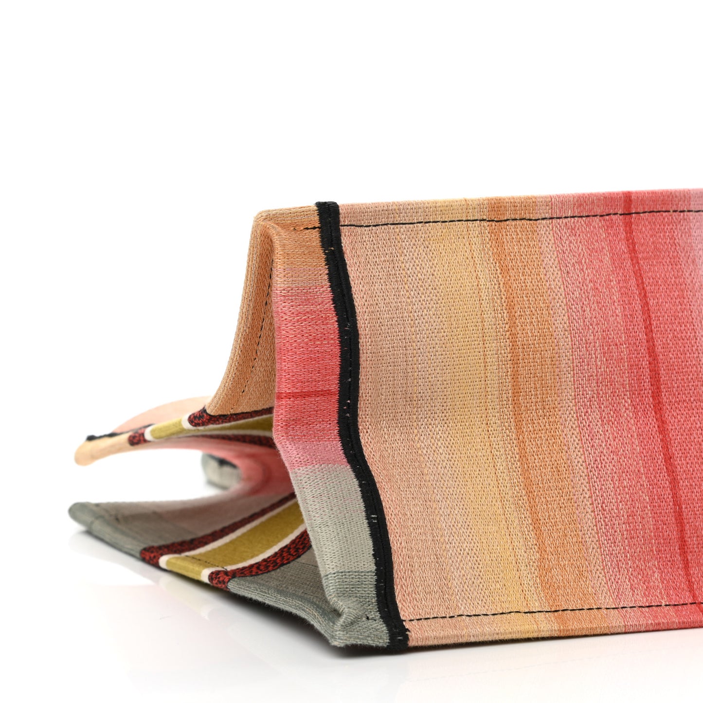 Canvas Embroidered Medium Dioraura Book Tote Multicolor