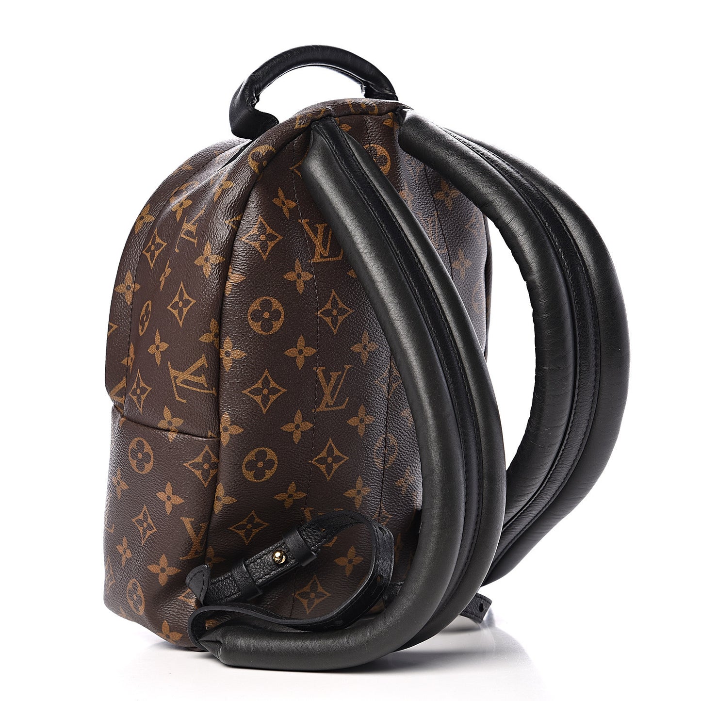 Monogram Palm Springs Backpack PM