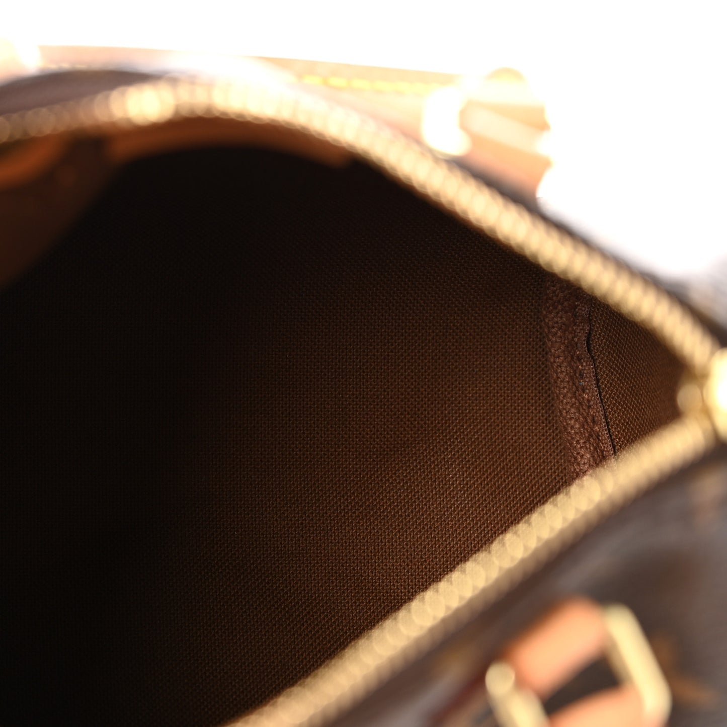 Monogram Nano Speedy