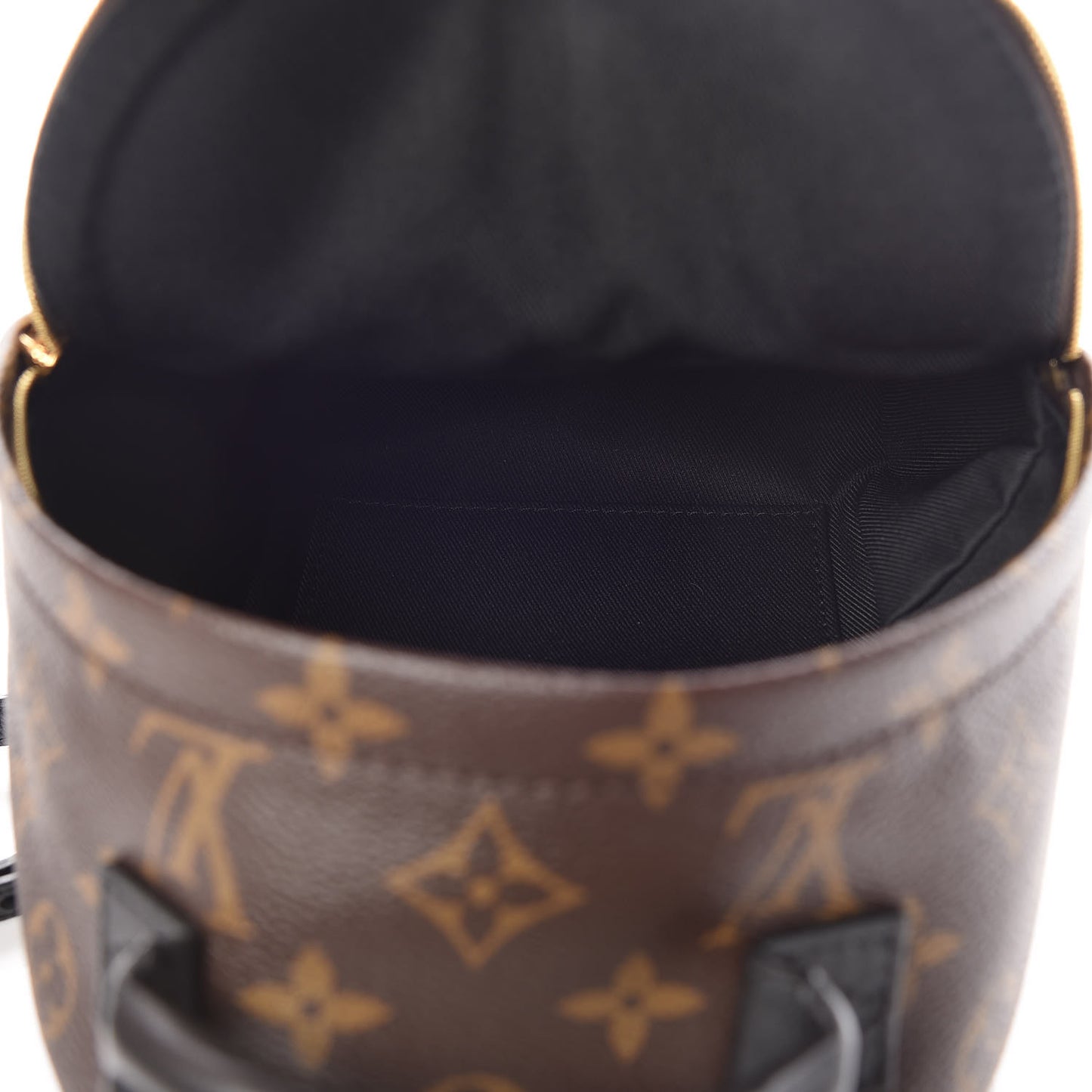 Monogram Palm Springs Backpack Mini