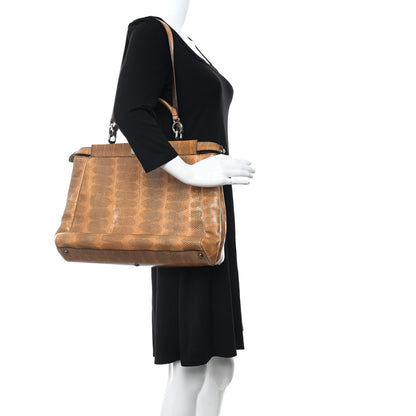 Fendi Watersnake Large Peekaboo Iconic Satchel Brown 2 of 12