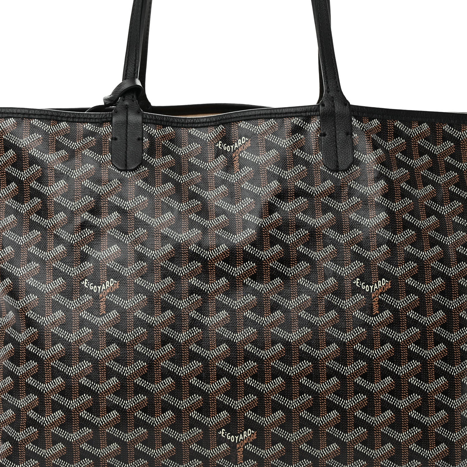 Goyard Goyardine Saint Louis PM Black 9 of 18