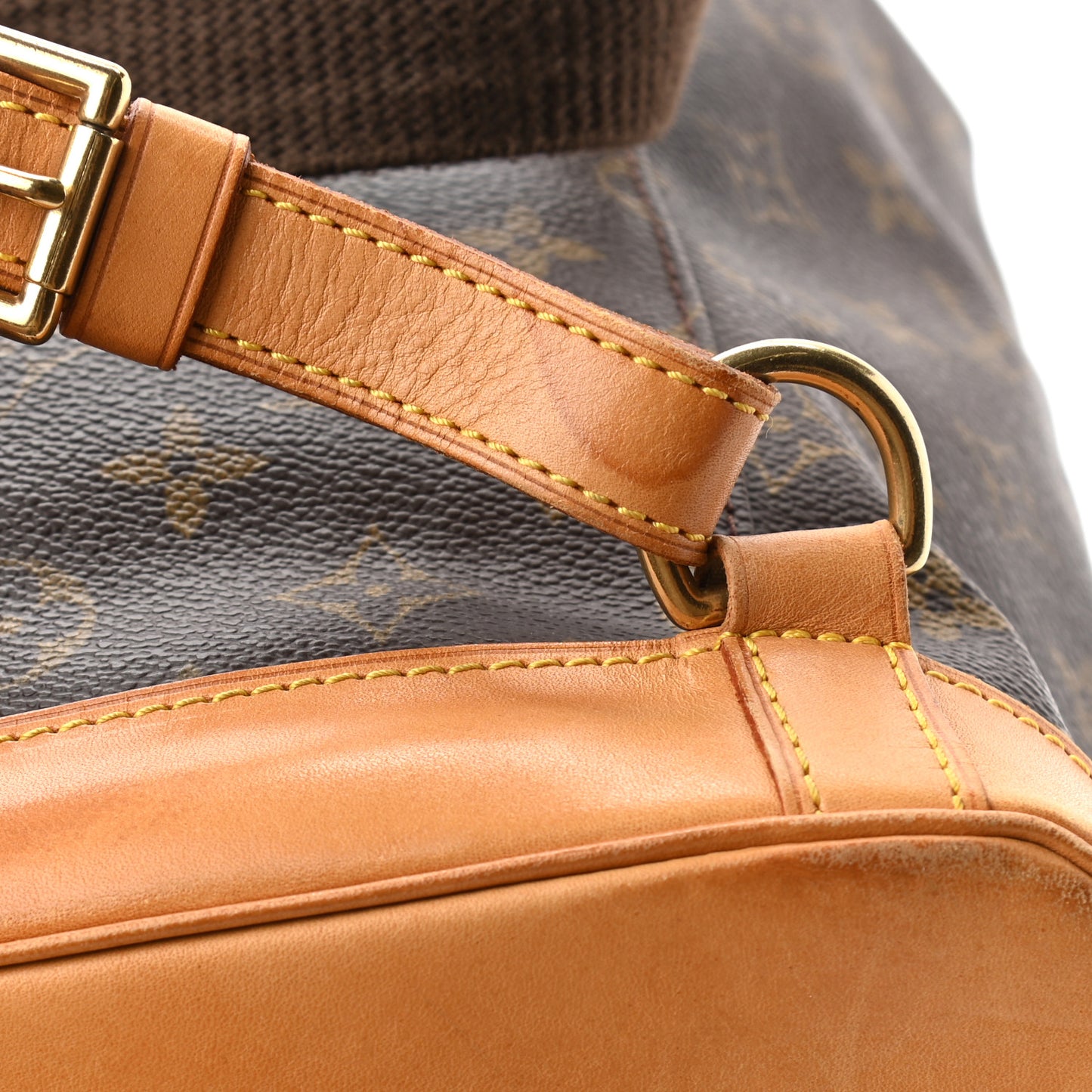 Monogram Montsouris GM Backpack
