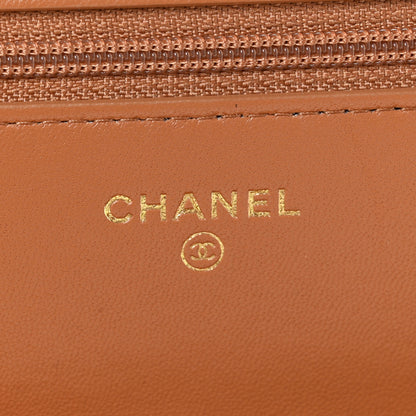 Chanel Lambskin Quilted Chanel 19 Wallet On Chain WOC Brown 6 of 12