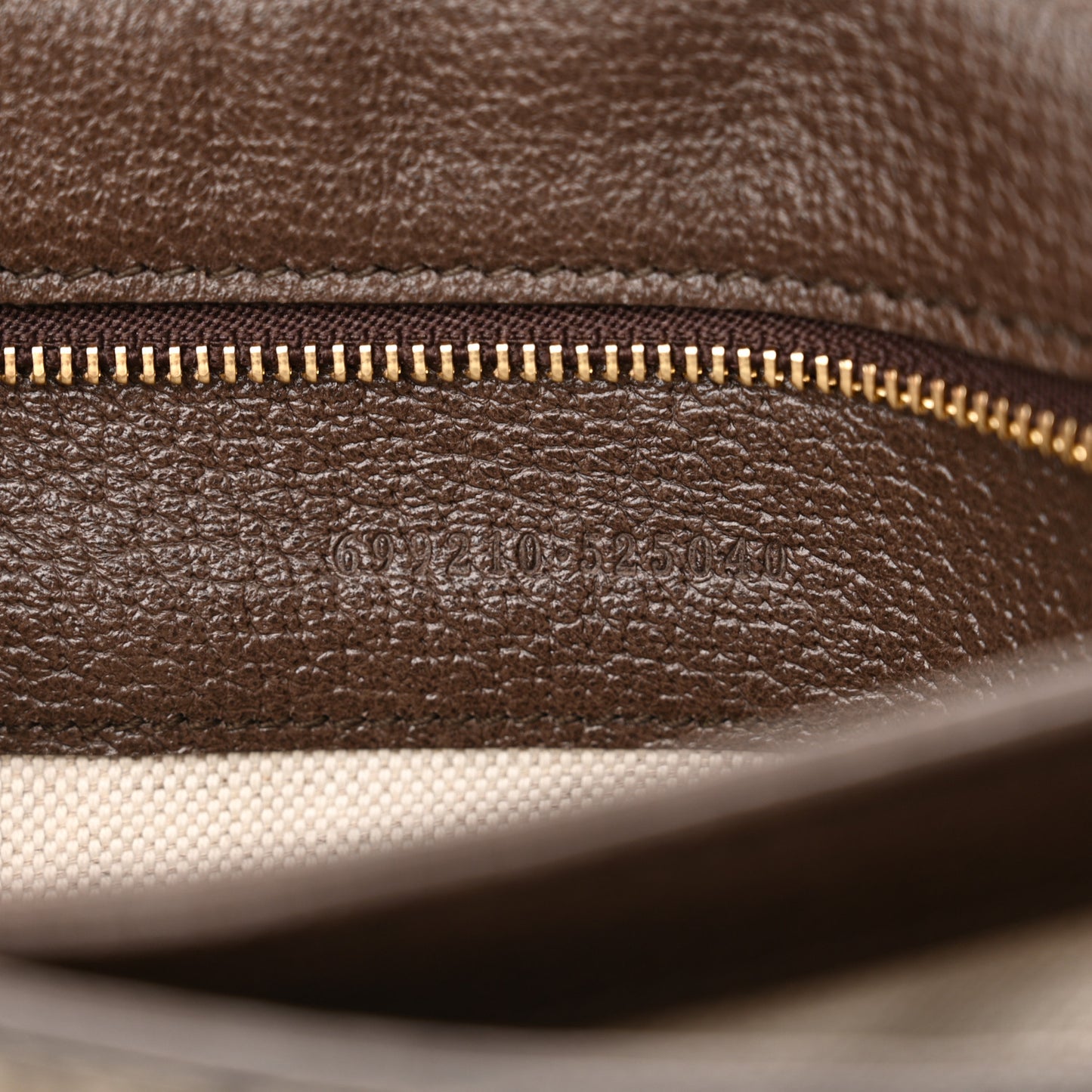 GG Supreme Monogram Textured Dollar Calfskin Web Medium Blondie Shoulder Flap Bag Beige Ebony New Acero