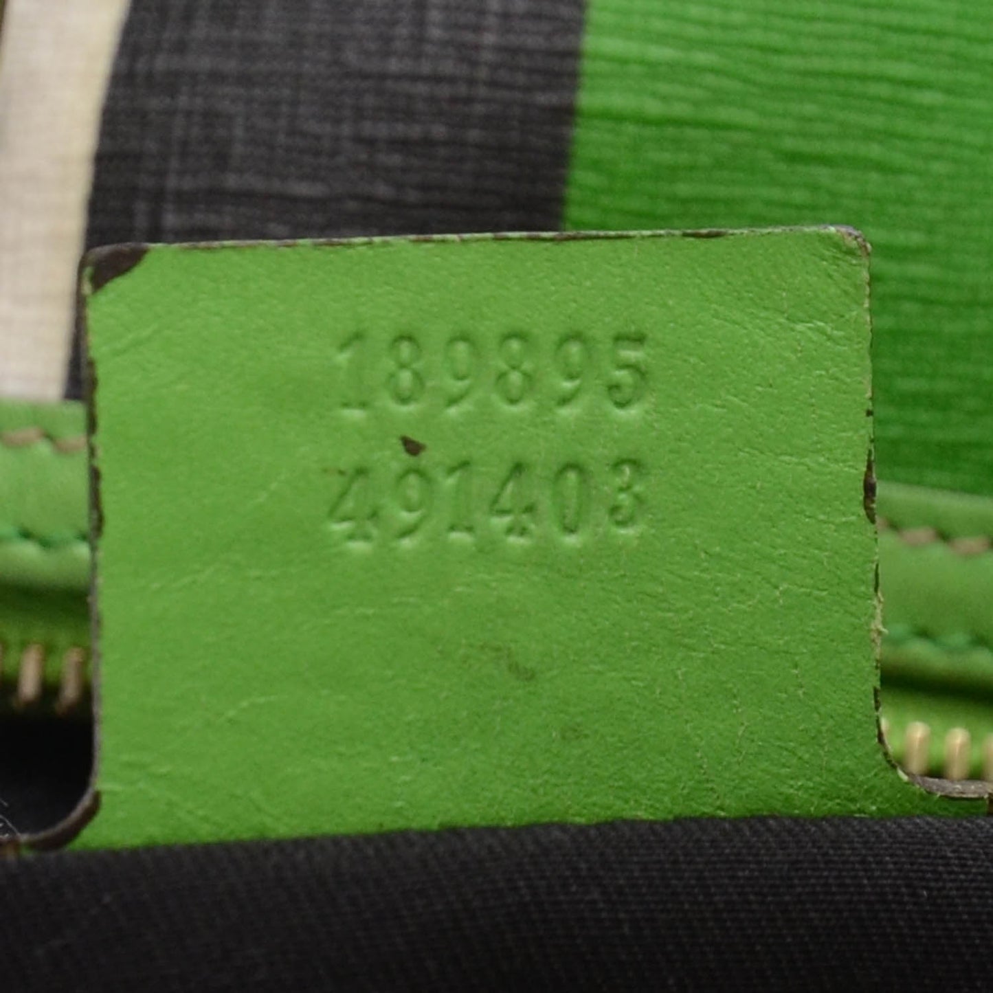 GG Plus Monogram Web Stripe Medium Joy Boston Green