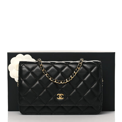 Chanel Lambskin Quilted Wallet On Chain WOC Black 11 of 11