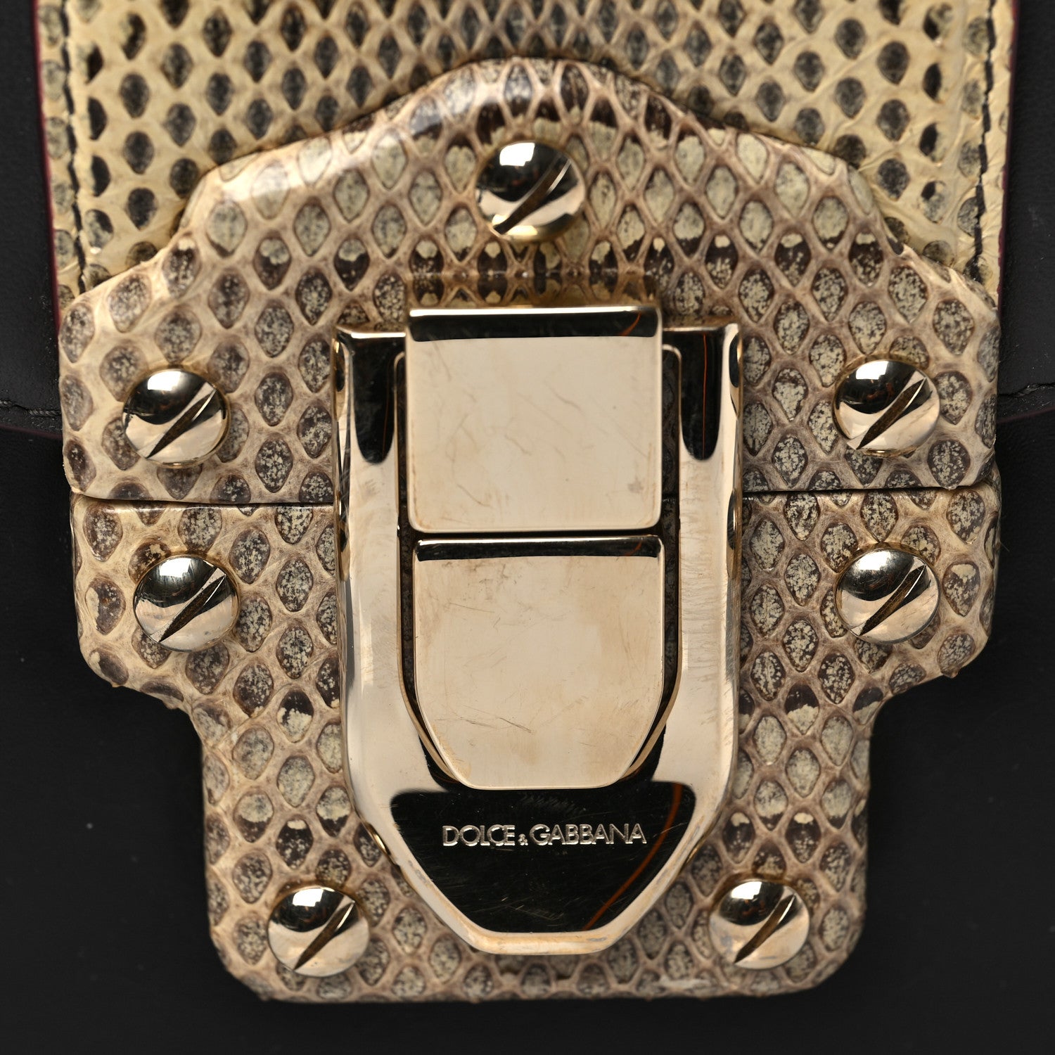 Dolce & Gabbana Calfskin Snakeskin Lucia Shoulder Bag Black 8 of 8