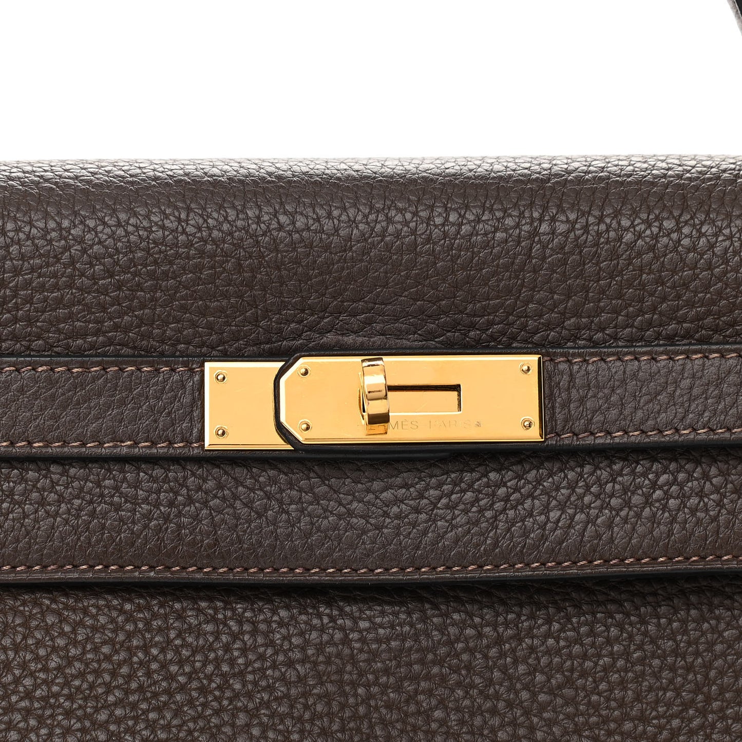 Taurillon Clemence Kelly Retourne 32 Chocolate