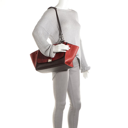 Celine Python and Calfskin Medium Tri-Color Trapeze Wine 2 of 9