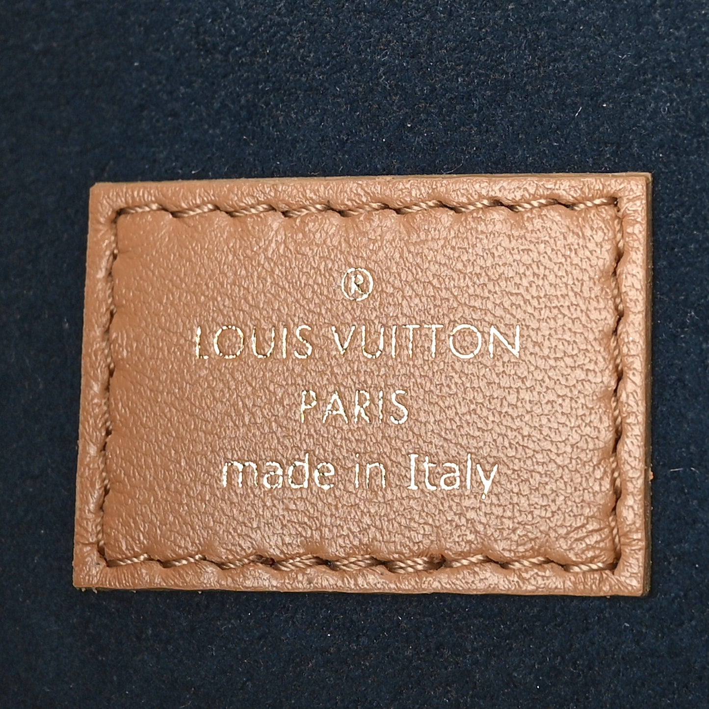 Lambskin Embossed Monogram Coussin PM Camel