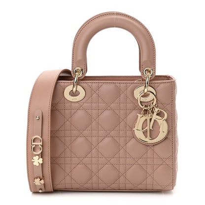 Christian Dior Lambskin Cannage Small My ABCDior Fard 1 of 11