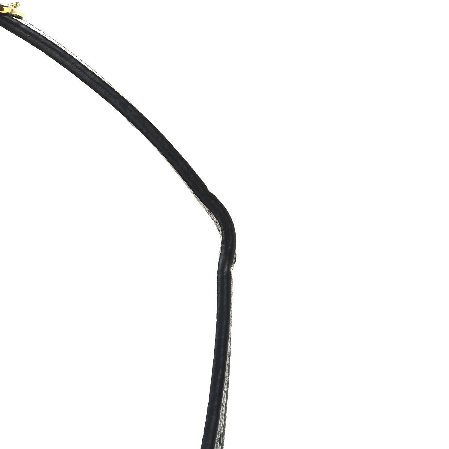 Celine Grained Calfskin Nano Belt Bag Amazone 12 of 12