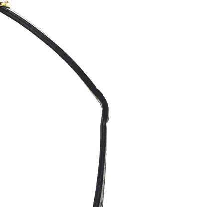 Celine Grained Calfskin Nano Belt Bag Amazone 12 of 12