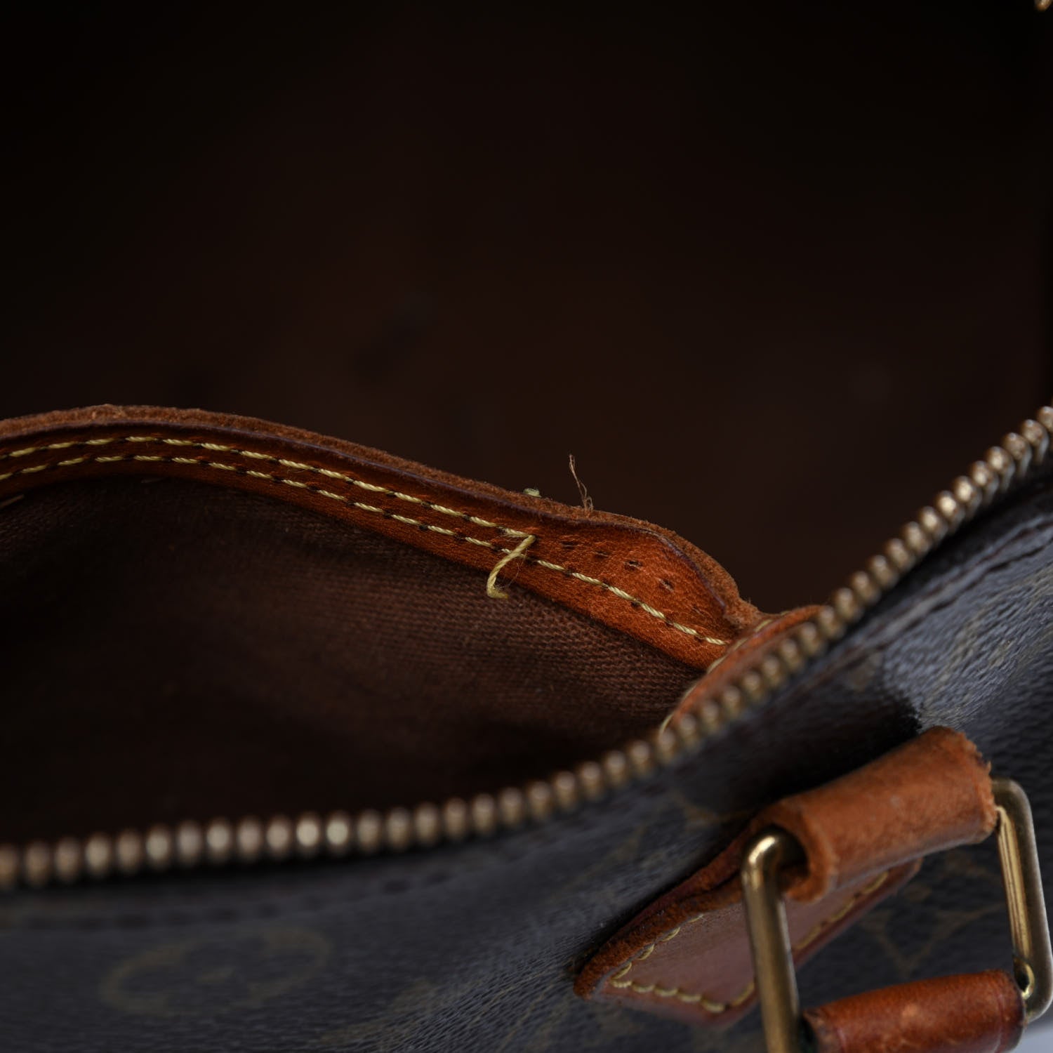 Louis Vuitton Monogram Speedy 30 19 of 25