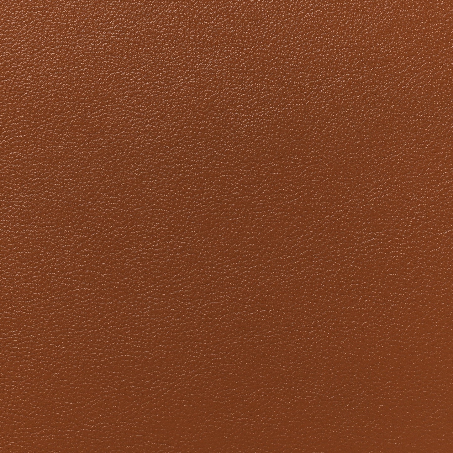 Wonka Grain Calfskin Medium Diana Tote Bag Cuir Yellow Fluo