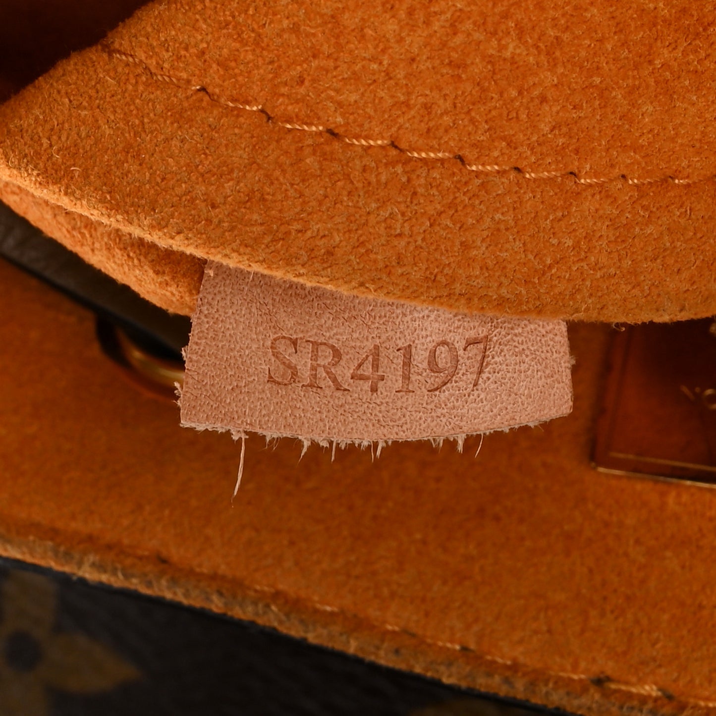 Patent Monogram Hot Springs Backpack Vert Bronze