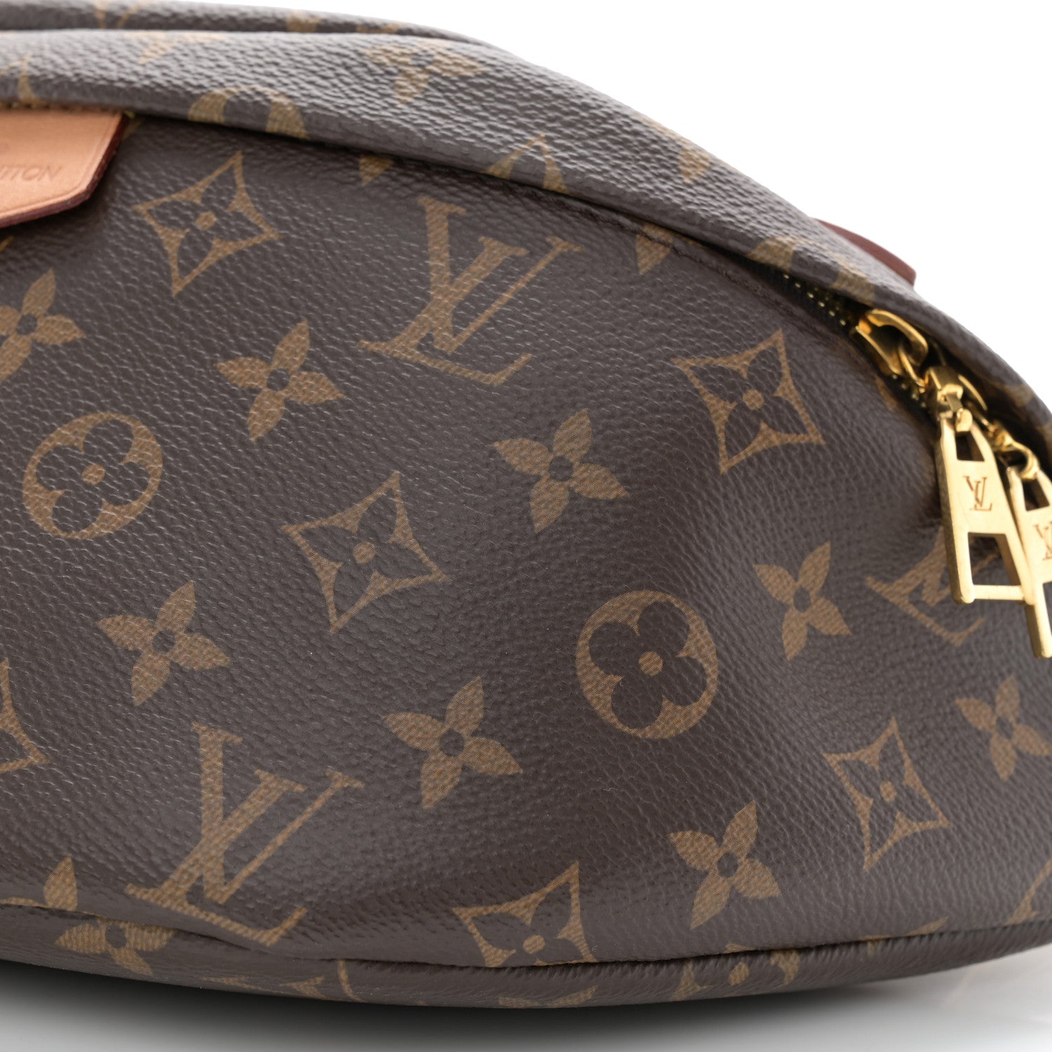 Louis Vuitton Monogram Bumbag 9 of 10