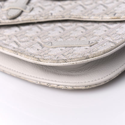 Christian Dior Oblique Saddle Messenger Pouch Beige 9 of 24