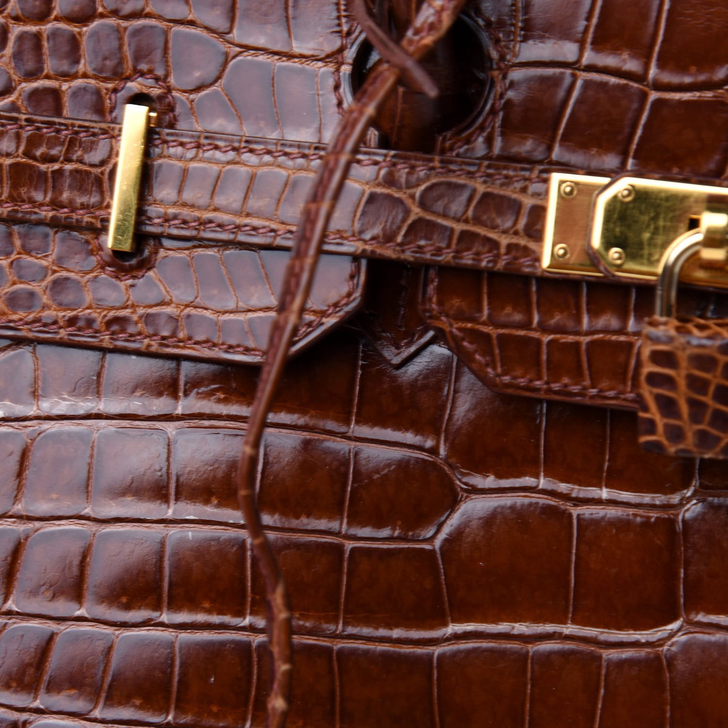 Shiny Porosus Crocodile Birkin 35 Etrusque