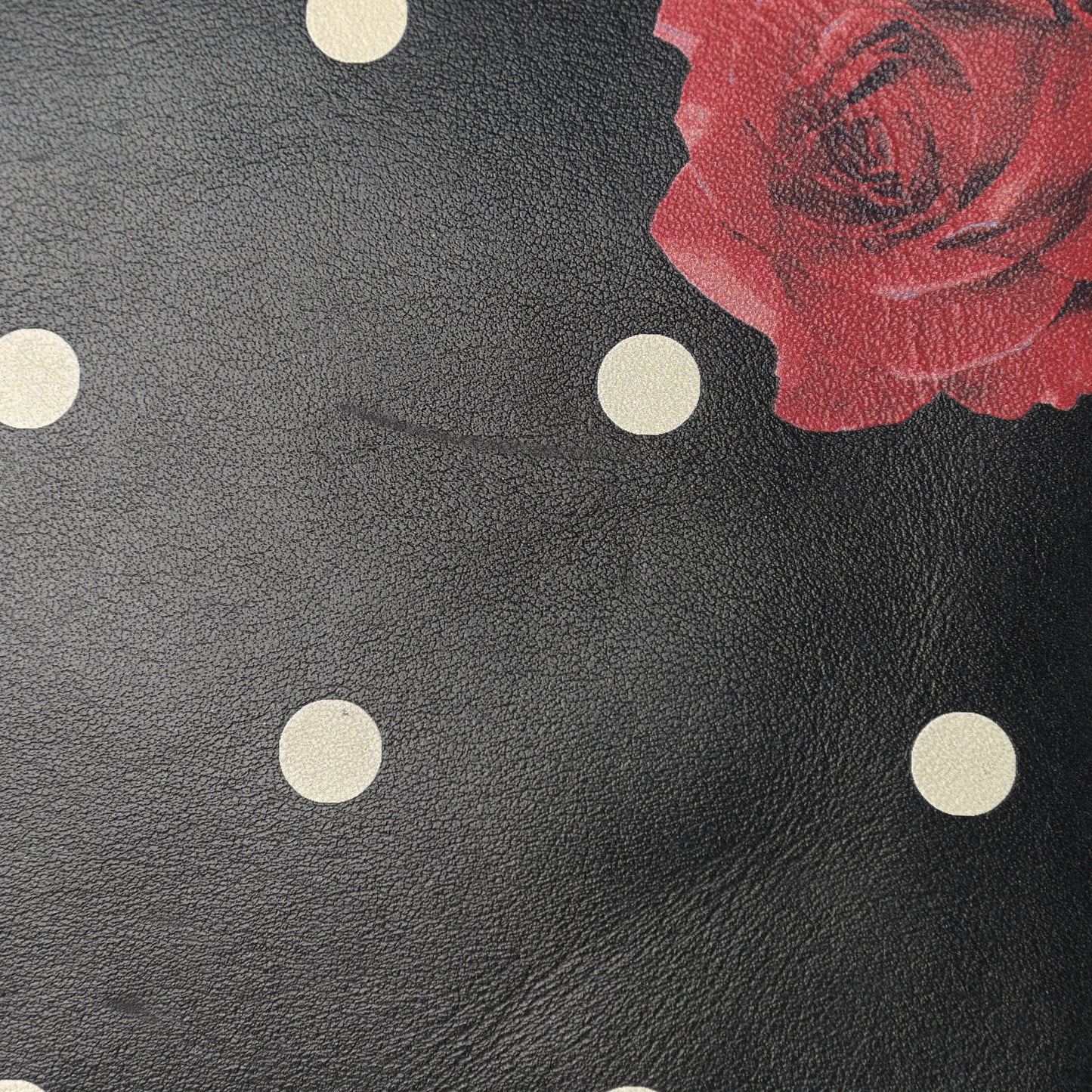 Calfskin Rose Print Monogram Lou Camera Bag Black